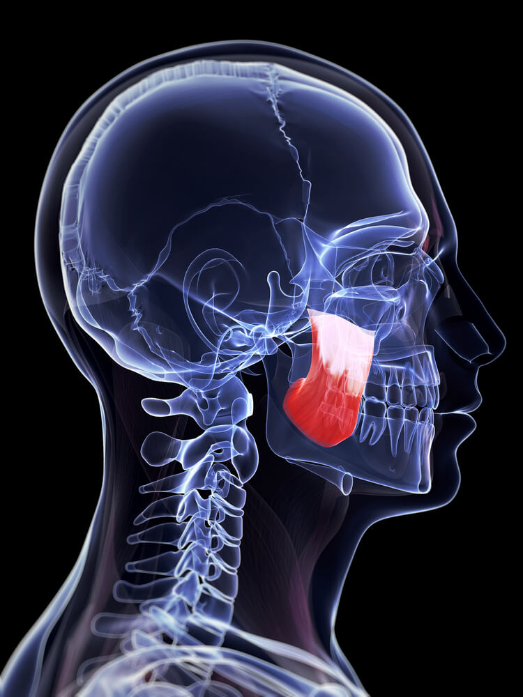 muscle tmj masseter botox tightness relief muscles jaw located behind amazing location compazine face right surprises prove facts clenching spasm